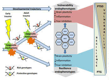 69832809_523452051737168_2662791350272917504_n
